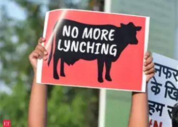 भीड़ हिंसा : अधिकारियों ने ओटीटी पर अभद्र भाषा, इंटरनेट के ज़्यादा प्रयोग को हिंसा का जिम्मेदार ठहराया