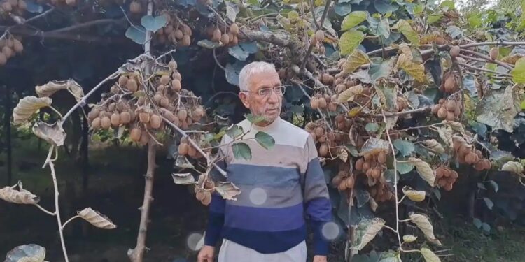 सेब की जगह कश्मीर के खेती के नक्शे पर कीवी को लाए बशीर अहमद!