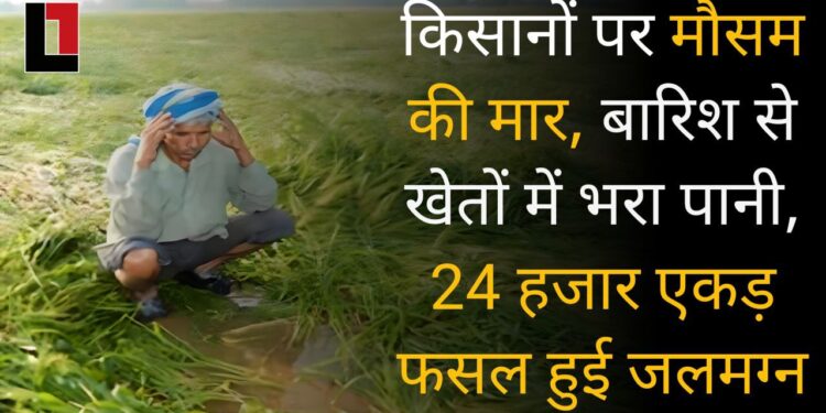 हरियाणा में किसानों पर मौसम की मार, बारिश से खेतों में भरा पानी, 24 हजार एकड़ फसल हुई जलमग्न।