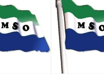 MSO Flag